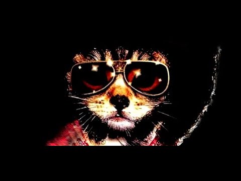 Dj Wbi Remix  - Groove All Day Long