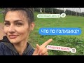 Как прошла рабочая неделя. Рвём траву на голубике. Работа в Шотландии