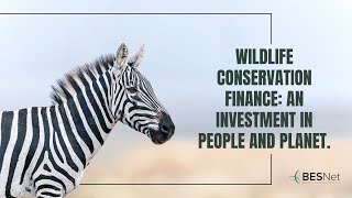 Famous Wildlife Conservation Finance: An Investment in People and Planet Net Worth