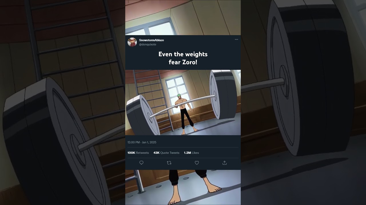 What Zoro calls a rest day...