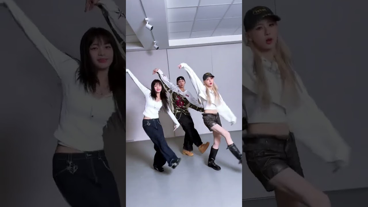 🐻💙, PDSR w/DOM