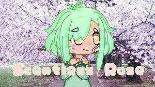 Scentless Rose Gcmv