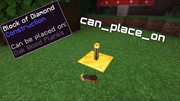 How to Make Items That Place on Specific Blocks