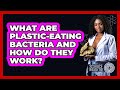 What Are Plastic-eating Bacteria And How Do They Work? - Science Through Time