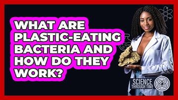 What Are Plastic-eating Bacteria And How Do They Work? - Science Through Time