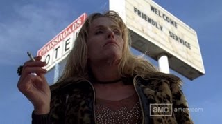 Breaking Bad Wendy (Julia Minesci), Peggy May (Dror Kessler original)