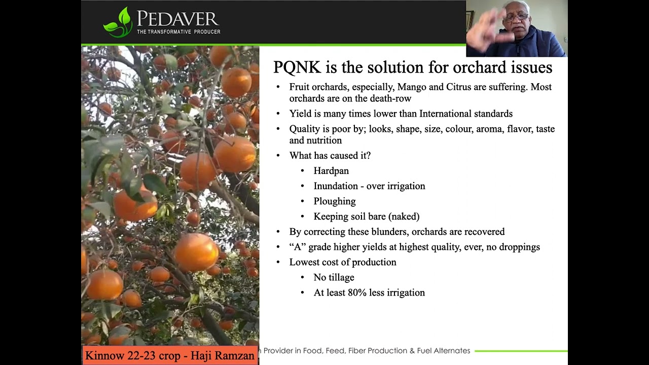 Citrus orchards recovery - high quality at no cost