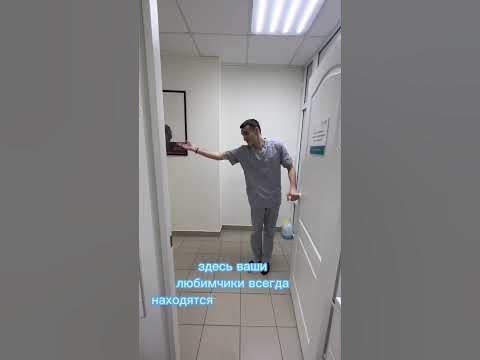 Евровет ОМСК - экскурсия по филиалу Перелёта, 19 - YouTube