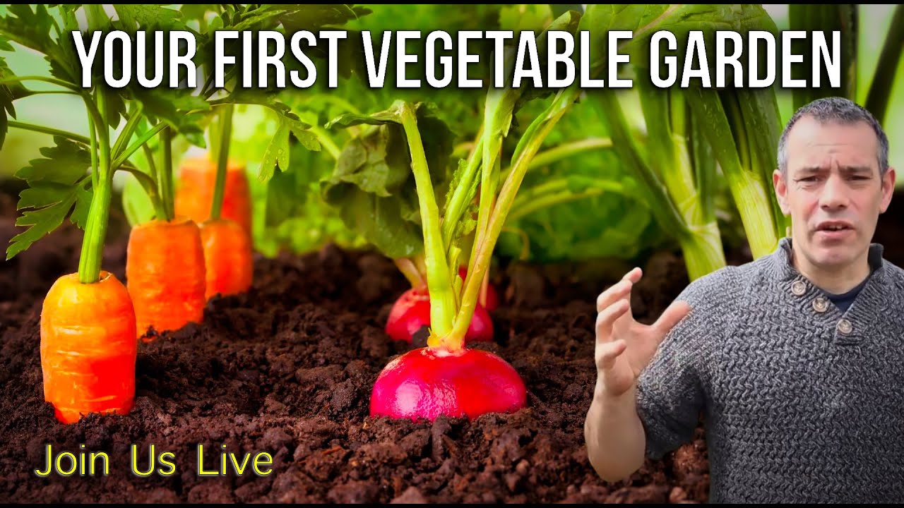 Grow Your Greens Unveiling 'Your First Vegetable Garden' in Our