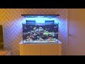 Red Sea Reefer 250 - Mixed Reef - Overview and Equipment Part 2