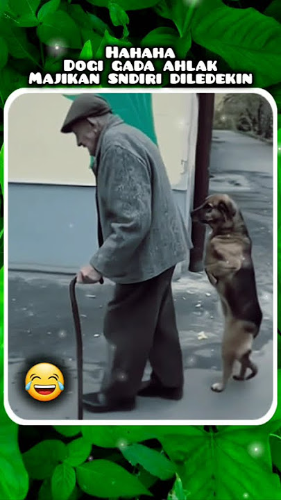 HAHAHA..DASSAR SI DOGGI..TUANNYA SNDIRI DILEDDEKIN..😂😂😂