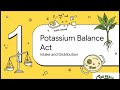 Potassium Disorders Made Simple for Exam (Hypokalemia & Hyperkalemia)