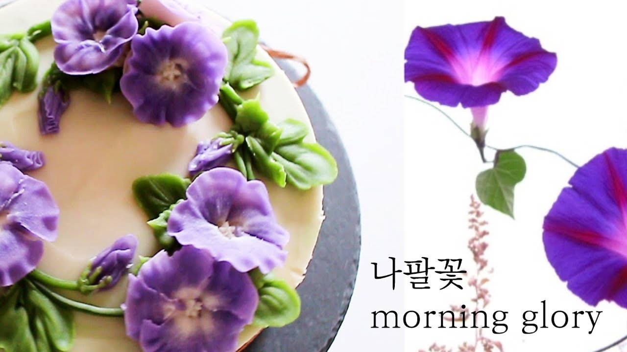 앙금플라워 나팔꽃 morning glory flower piping