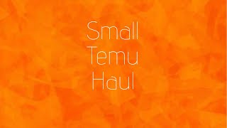 Small Temu Haul