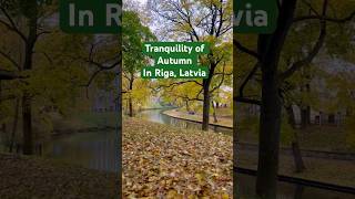 Late Autumn In Rigas Bastejkalns Park. Tranquil And Serene Nature.