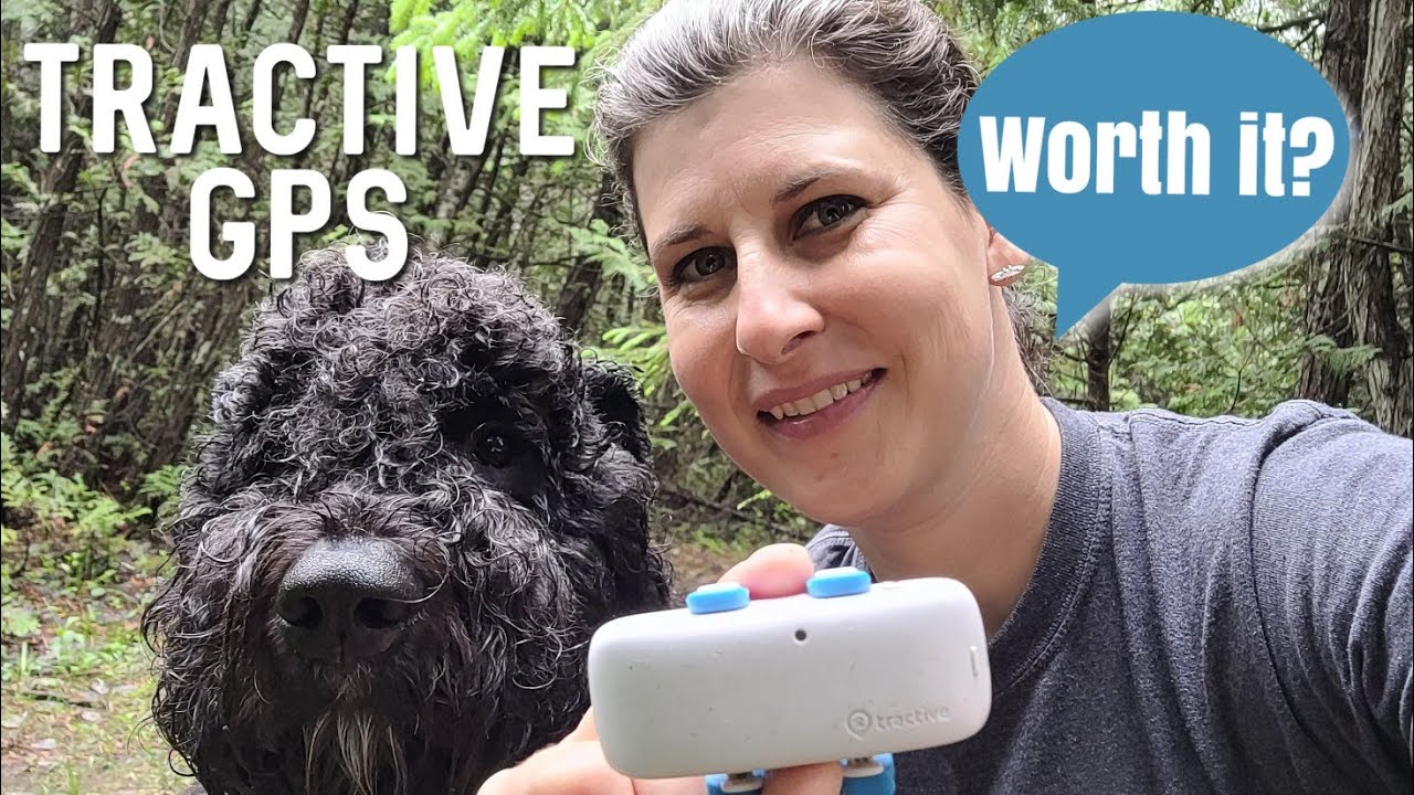 Tractive GPS Dog LTE (TRNJAWH) GPS Pet Tracker Review - Consumer Reports