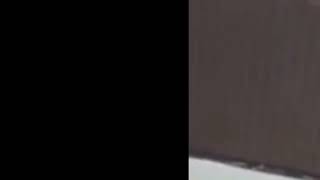 Tango New Out Video Periscope 402 53