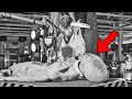 Extraterrestrial Life and Government Secrecy