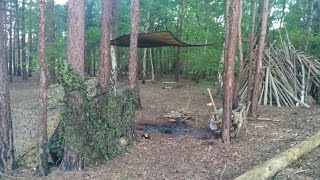 woodland camp out