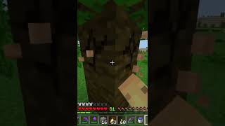 Benchmarking Achievement Guide Minecraft Bedrock