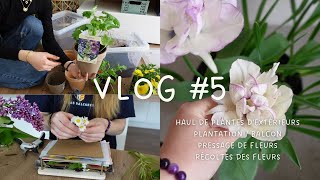 VLOG #5 | Haul de plantes d’extérieurs, Balcon, pressage de fleurs / récoltes, Herbier