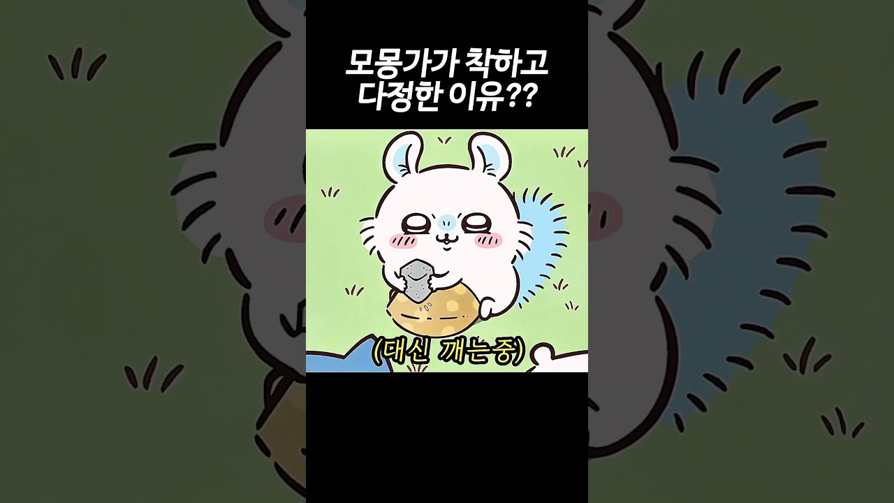 귀여운 모몽가가 착하고 다정한 이유? #먼작귀 #치이카와