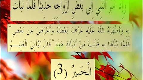 القران الكريم سورة التحريم الأية 3.wmv