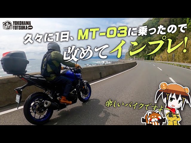 MT-03で伊豆を走り回ったら楽しかった… 改めてインプレッション！byYSP