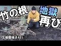 土地整地＃41｜竹の根の量が増えてきた｜抜き終えた切り株全て紹介