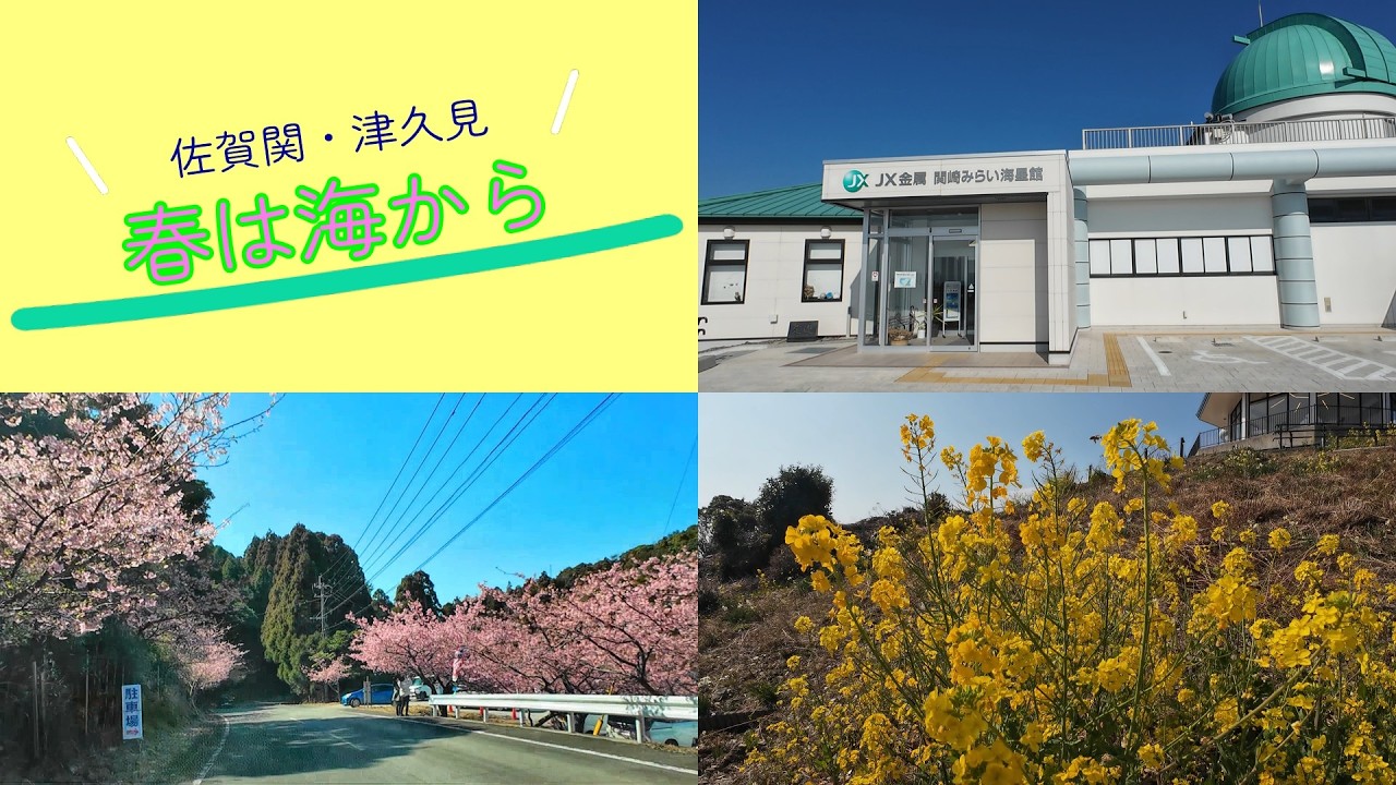 【春は海から】佐賀関～四浦半島　#旅 #ドライブ #四浦半島 #河津桜 #関埼灯台