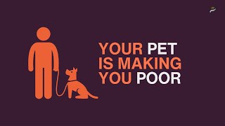 Your Pet Is Making You Poor (And No One Wants to Admit It)