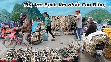Chợ Lợn Bạch lớn nhất Cao Bằng - mỏi chân khám phá chợ Quảng Uyên của người Tày Nùng đông bắc