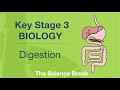 Understanding Digestion
