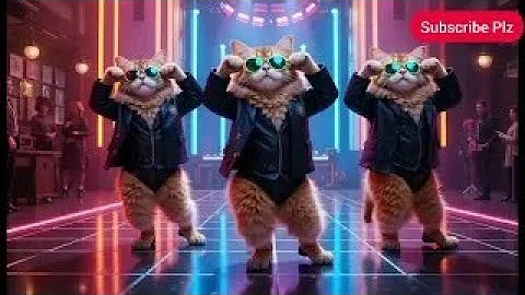 Video 11886321: cat dance cute animals, cat funny dance animal, hilarious cat dance, cat funny dance show, funny cute big cats
