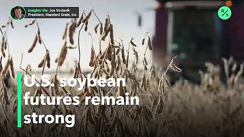 Here’s what to watch in the U.S. soybeans market