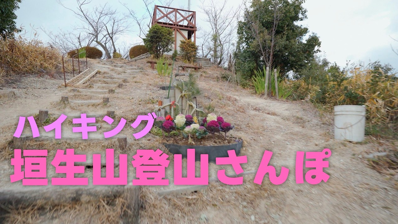 垣生山に運動のためハイキングしました♪（愛媛県松山市高岡町）