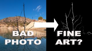 Fine Art From A Bad Photo ?