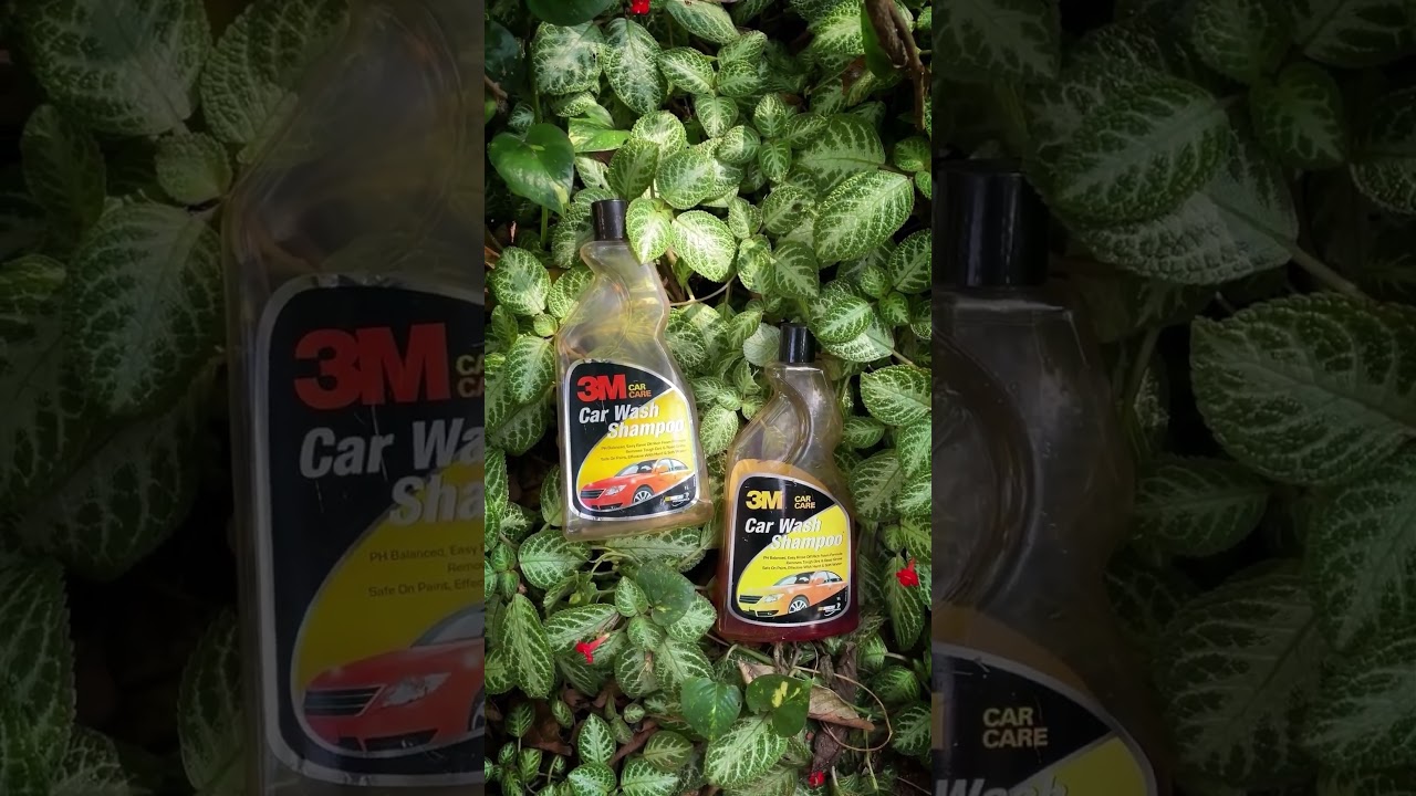 Day 7: Motorcycle Maintenance | Bike എങ്ങനെ പുത്താനായി വയ്ക്കാം?  