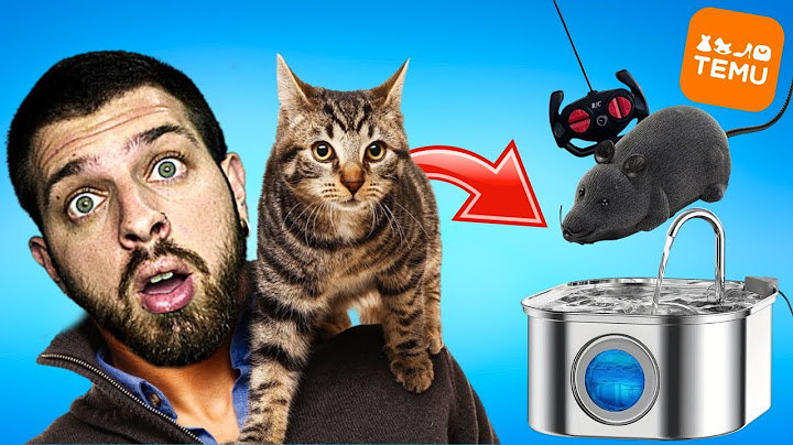 Περίεργα GADGETS για ΓΑΤΕΣ από το TEMU! | Giannakopoulos