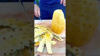 改善土壤，讓果樹瘋狂結果的秘密 / DIY organic liquid fertilizer #shortvideo #shorts #short