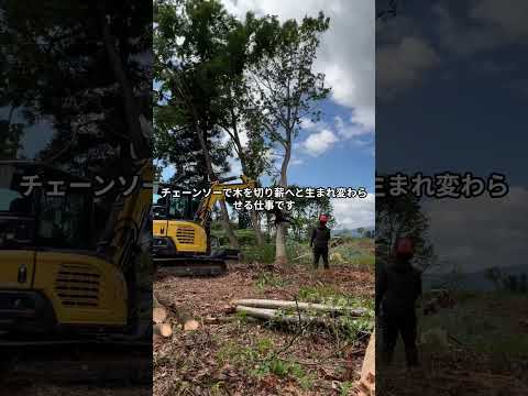 長井市 林業求人 山林作業スタッフ 専門技術が学べる #Shorts