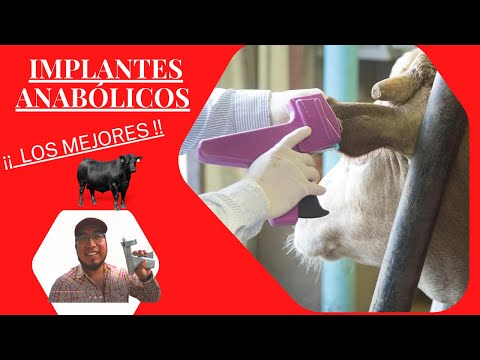 Video: ¿Cuándo implantar ganado?