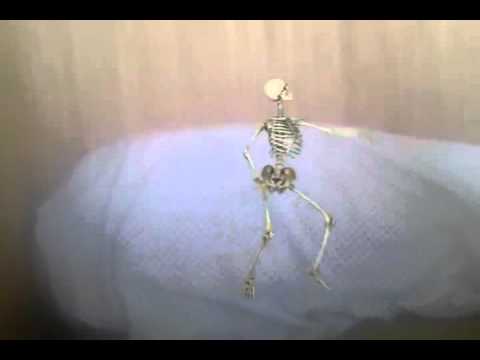 Animacie (dencing skeleton)