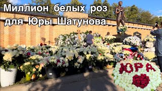У памятника Юры Шатунова миллион белых роз от поклонников после открытия монумента