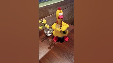 Chicken dance 🐥 #chicken #dance #song #funny #funnyvideo