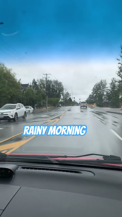 Rainy morning