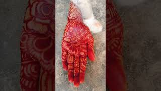 Sidra mahendi art ✍🏻 cat lover 😘😘😂😂😂😂😂😂😂