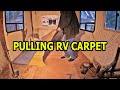 RV Teardown (Part 6) Removing Carpet