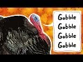 Understanding Turkeys