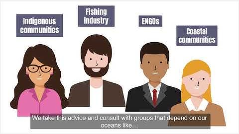 5. Evidence-based decisions in support of sustainable fisheries – Data to Decision